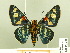  ( - HESP-EB 00 205)  @14 [ ] Copyright (2010) Unspecified Research Collection of Ernst Brockmann