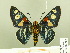  ( - HESP-EB 00 206)  @14 [ ] Copyright (2010) Unspecified Research Collection of Ernst Brockmann