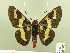  ( - HESP-EB 00 207)  @13 [ ] Copyright (2010) Unspecified Research Collection of Ernst Brockmann