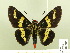  ( - HESP-EB 00 207)  @13 [ ] Copyright (2010) Unspecified Research Collection of Ernst Brockmann