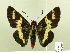  ( - HESP-EB 00 209)  @14 [ ] Copyright (2010) Unspecified Research Collection of Ernst Brockmann