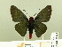  ( - HESP-EB 00 221)  @13 [ ] Copyright (2010) Unspecified Research Collection of Ernst Brockmann