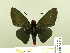  ( - HESP-EB 00 221)  @14 [ ] Copyright (2010) Unspecified Research Collection of Ernst Brockmann