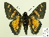  ( - HESP-EB 00 236)  @13 [ ] Copyright (2010) Unspecified Research Collection of Ernst Brockmann