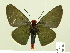  ( - HESP-EB 00 260)  @13 [ ] Copyright (2010) Unspecified Research Collection of Ernst Brockmann