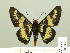  ( - HESP-EB 00 261)  @14 [ ] Copyright (2010) Unspecified Research Collection of Ernst Brockmann