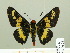  ( - HESP-EB 00 261)  @14 [ ] Copyright (2010) Unspecified Research Collection of Ernst Brockmann