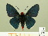  ( - HESP-EB 00 269)  @12 [ ] Copyright (2010) Unspecified Research Collection of Ernst Brockmann