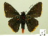  ( - HESP-EB 00 273)  @13 [ ] Copyright (2010) Unspecified Research Collection of Ernst Brockmann