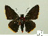  ( - HESP-EB 00 293)  @14 [ ] Copyright (2010) Unspecified Research Collection of Ernst Brockmann