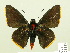  ( - HESP-EB 00 338)  @13 [ ] Copyright (2010) Unspecified Research Collection of Ernst Brockmann