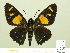  ( - HESP-EB 00 346)  @14 [ ] Copyright (2010) Unspecified Research Collection of Ernst Brockmann