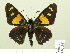  ( - HESP-EB 00 347)  @14 [ ] Copyright (2010) Unspecified Research Collection of Ernst Brockmann