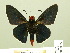  ( - HESP-EB 00 350)  @14 [ ] Copyright (2010) Unspecified Research Collection of Ernst Brockmann