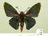  ( - HESP-EB 00 351)  @14 [ ] Copyright (2010) Unspecified Research Collection of Ernst Brockmann