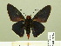  ( - HESP-EB 00 352)  @14 [ ] Copyright (2010) Unspecified Research Collection of Ernst Brockmann