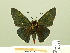  ( - HESP-EB 00 354)  @13 [ ] Copyright (2010) Unspecified Research Collection of Ernst Brockmann