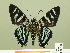  ( - HESP-EB 00 360)  @12 [ ] Copyright (2010) Unspecified Research Collection of Ernst Brockmann