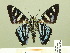  ( - HESP-EB 00 366)  @12 [ ] Copyright (2010) Unspecified Research Collection of Ernst Brockmann