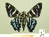  ( - HESP-EB 00 367)  @12 [ ] Copyright (2010) Unspecified Research Collection of Ernst Brockmann