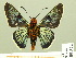  (Amenis - HESP-EB 00 372)  @14 [ ] Copyright (2010) Unspecified Research Collection of Ernst Brockmann