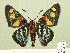  ( - HESP-EB 00-416)  @14 [ ] Copyright (2010) Unspecified Research Collection of Ernst Brockmann