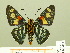  ( - HESP-EB 00-417)  @13 [ ] Copyright (2010) Unspecified Research Collection of Ernst Brockmann