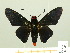  ( - HESP-EB 00-420)  @14 [ ] Copyright (2010) Unspecified Research Collection of Ernst Brockmann