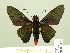  ( - HESP-EB 00-422)  @13 [ ] Copyright (2010) Unspecified Research Collection of Ernst Brockmann
