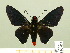 ( - HESP-EB 00-422)  @14 [ ] Copyright (2010) Unspecified Research Collection of Ernst Brockmann