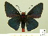  ( - HESP-EB 00-428)  @13 [ ] Copyright (2010) Unspecified Research Collection of Ernst Brockmann