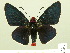  ( - HESP-EB 00-428)  @14 [ ] Copyright (2010) Unspecified Research Collection of Ernst Brockmann