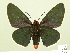  ( - HESP-EB 00-429)  @13 [ ] Copyright (2010) Unspecified Research Collection of Ernst Brockmann