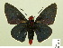 ( - HESP-EB 00-431)  @11 [ ] Copyright (2010) Unspecified Research Collection of Ernst Brockmann