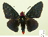  ( - HESP-EB 00-431)  @11 [ ] Copyright (2010) Unspecified Research Collection of Ernst Brockmann