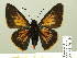 ( - HESP-EB 00-434)  @14 [ ] Copyright (2010) Ersnt Brockmann Research Collection of Ernst Brockmann
