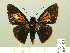  ( - HESP-EB 00-435)  @13 [ ] Copyright (2010) Ersnt Brockmann Research Collection of Ernst Brockmann