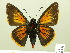  ( - HESP-EB 00-436)  @14 [ ] Copyright (2010) Ersnt Brockmann Research Collection of Ernst Brockmann