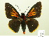  ( - HESP-EB 00-436)  @14 [ ] Copyright (2010) Ersnt Brockmann Research Collection of Ernst Brockmann