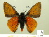  ( - HESP-EB 00-437)  @12 [ ] Copyright (2010) Ersnt Brockmann Research Collection of Ernst Brockmann
