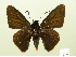  ( - HESP-EB 00-437)  @13 [ ] Copyright (2010) Ersnt Brockmann Research Collection of Ernst Brockmann