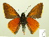  ( - HESP-EB 00-438)  @12 [ ] Copyright (2010) Ersnt Brockmann Research Collection of Ernst Brockmann