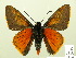  ( - HESP-EB 00-439)  @12 [ ] Copyright (2010) Ersnt Brockmann Research Collection of Ernst Brockmann