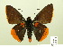  ( - HESP-EB 00-444)  @11 [ ] Copyright (2010) Ersnt Brockmann Research Collection of Ernst Brockmann