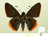  ( - HESP-EB 00-444)  @11 [ ] Copyright (2010) Ersnt Brockmann Research Collection of Ernst Brockmann