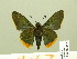  ( - HESP-EB 00 496)  @14 [ ] Copyright (2010) Unspecified Research Collection of Ernst Brockmann
