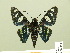  ( - HESP-EB 00 523)  @15 [ ] Copyright (2010) Unspecified Research Collection of Ernst Brockmann