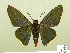  ( - HESP-EB 00 580)  @14 [ ] Copyright (2010) Unspecified Research Collection of Ernst Brockmann