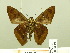  ( - HESP-EB 00 790)  @14 [ ] Copyright (2010) Unspecified Research Collection of Ernst Brockmann