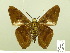  ( - HESP-EB 00 792)  @14 [ ] Copyright (2010) Unspecified Research Collection of Ernst Brockmann